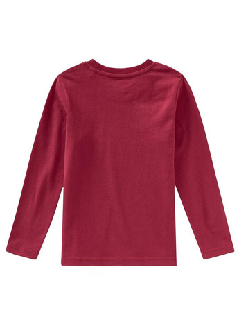 Комбінована всесезон піжама реглан + брюки Lupilu