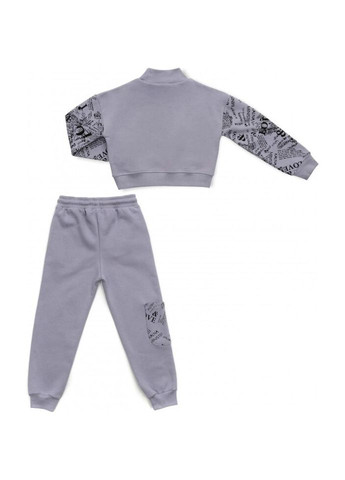 Спортивный костюм на флисе (16794-140G-gray) Toontoy (300856998)