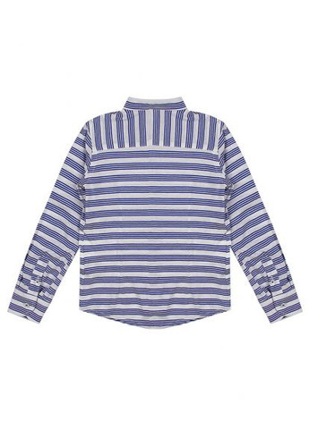 Сорочка трикотажна на довгий рукав для хлопця STG154 біла з синім смугаста Street Gang (331336292)