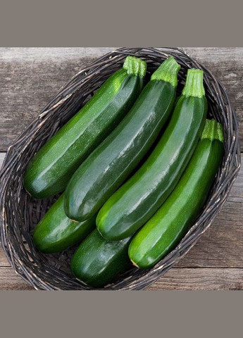 Семена кабачка Аэронавт 2 г ( ) Насіння країни (328607005)