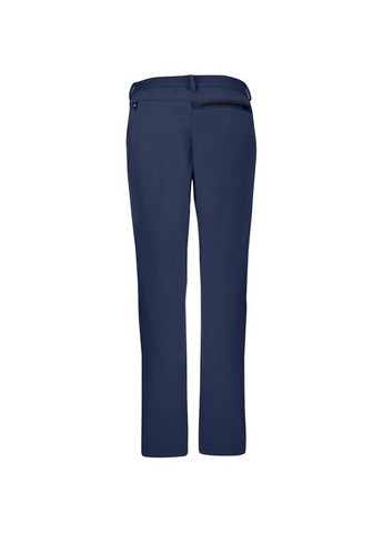 Брюки alewa Terminal Pants Wms Синий Salewa (334348103)