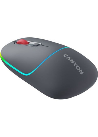 Мышка (CNS-CMSW22DG) Canyon MW-22 Dual Band RGB Wireless Dark Grey (295929485)
