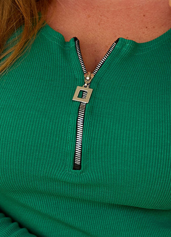 Лонгслив женский с молнией приталенный из трикотажа в рубчик No Brand (364831371)