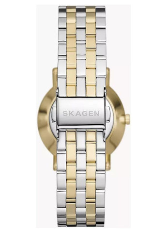 Женские наручные часы Skagen SKW3122 (322683228)