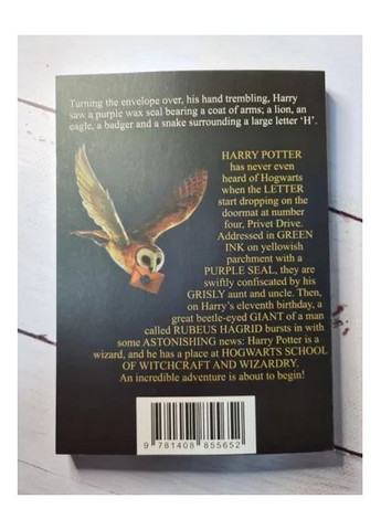 Книга Harry Potter and the Philosopher's Stone, Гарри Поттер и Философский камень, на английском языке No Brand (359370160)