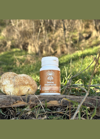 Ежовик гребенчатый в таблетках 120 шт по 0,4 г Лісовик (334292950)