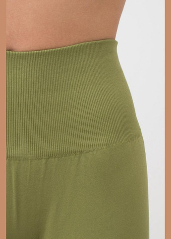 Легінси жіночі безшовні спортивні Giulia LEGGINGS ENERGY (301384720)