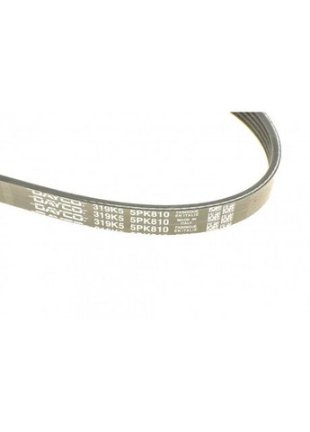 Ремень генератора BMW 3 (E46)/X5 (E53)/5 (E39) 2.5D/3.0D 98-06 5PK810 RU63 Dayco (360492679)