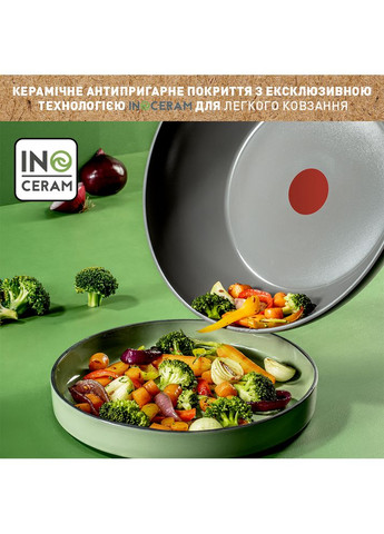 Сковорода Вок Renewal 28 см Grey (C4261943) Tefal (306527810)