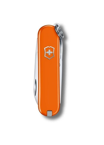 Складной нож Classic 5,8 см 0.6223.83G Victorinox (317305606)
