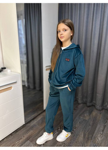 Теплый велюровый костюм с начесом на девочку Nositi 008-1-200-550 (370299403)