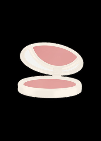 Пудровая румяна 03 Cool Queene 4,5 мл Farmasi (296008557)