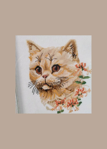 Набір для вишивання за нанесеною на канву схемою "Cat". AIDA 14CT printed 26*29 см Joy Sunday (313614349)