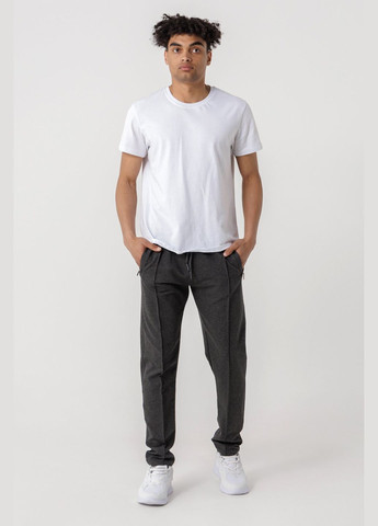 Графитовые повседневный демисезонные брюки CLUB JU