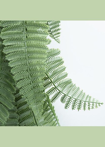 Штучна гілка "Persian fern", 65cм Engard (284742403)