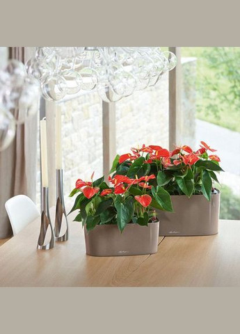 Умный вазон Delta 10 2 л белый 15460 Lechuza (316617989)