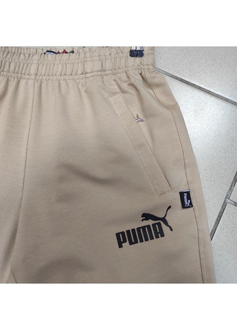 Чоловічі спорт штани Пума двонитка беж Puma (350349689)