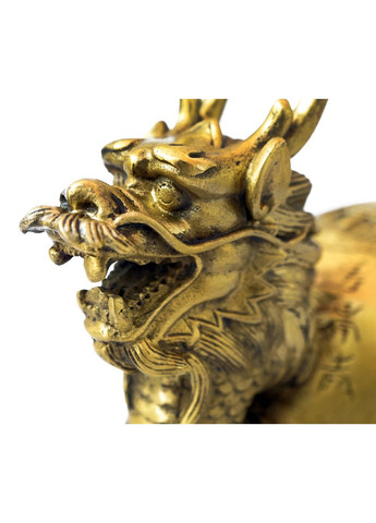 Драконя черепаха з мантрами на панцирі No Brand (372447159)