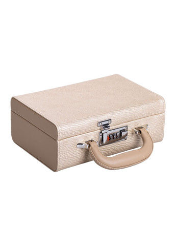 Кейс-органайзер для прикрас з кодовим замком 24х16х9,5 см, Yiwu (328603731)