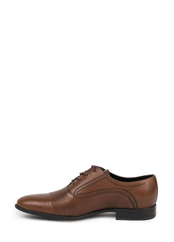 Туфлі чоловічі коричневі Arber дербі (282960115)