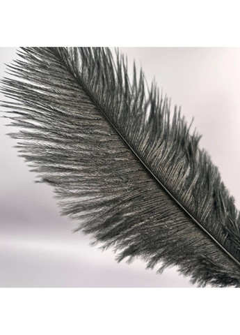 5 шт - перья страуса для рукоделия 13-18 см - черный Plus-plus (354793684)
