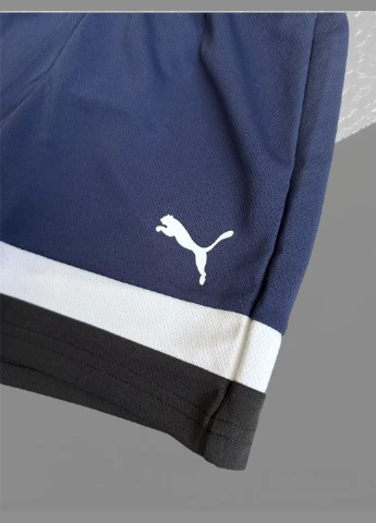 Шорты Puma (298344869)