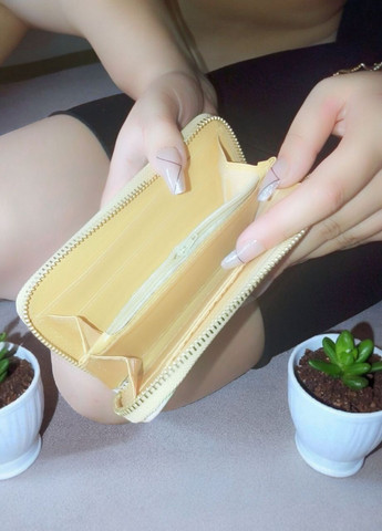 Гаманець на змійці у вигляді купюри No Brand (362374084)