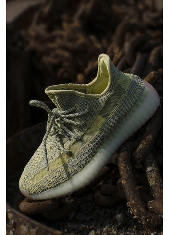 Салатові Осінні кросівки чоловічі adidas yeezy boost 350 v2 antila 2 адідас ізі буст No Brand