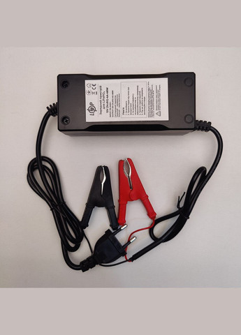Зарядное устройство 12 V (14.6 V) 4 А 48 W для 4S LifePo4 аккумуляторов No Brand (325835193)