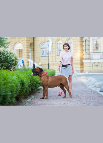 Повідець для собак водостійкий Waterproof Ш 25 мм Д 183 см Рожевий WAUDOG (322528110)