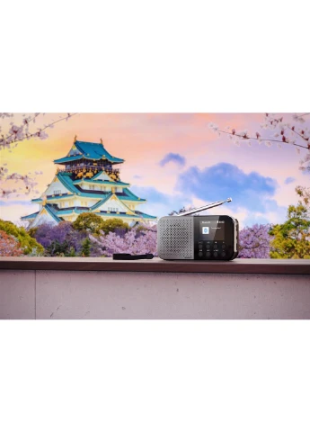 Радиоприемник DR-P520 Grey (DR-P520(GY)) Sharp (360394592)