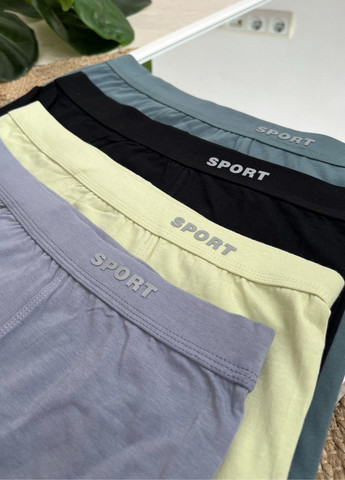 Хлопковые мужские боксеры арт. 0178 VIDCHUY (365629267)