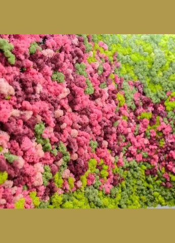 Стабилизированный мох ягель Цикламен 0,5 кг Nordic moss (276401080)