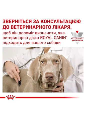 Сухий корм для дорослих собак Diabetic Dog 1.5 кг (3182550798945) (4086150) Royal Canin (364788909)