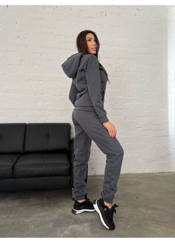 Жіночий теплий спортивний костюм FINO Mode (361995094)