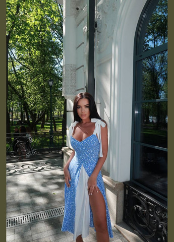 Блакитна повсякденний, святковий, вечірня сукня Україна в горошок