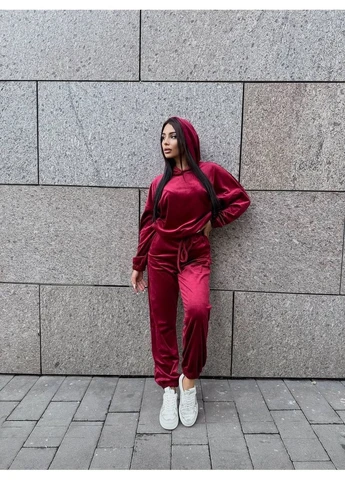 Женский стильный велюровый костюм с капюшоном No Brand (385275851)