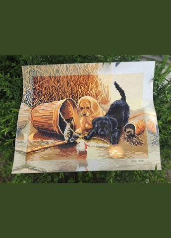 Набір алмазної мозаїки 30х40 Грайливі собачки ST400 ColorArt (299772432)