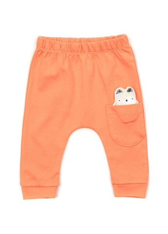 Комбінований демісезонний набір дитячого одягу з котиками (16317-62b-orange) Miniworld