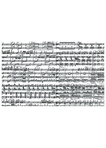 Пазл Музыкальные ноты, 1000 элементов (PT-543449) Piatnik Музичні ноти, 1000 елементів (366067549)