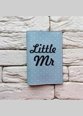 Обкладинка для паспорта Little Mr (блакитний) No Brand (301083525)