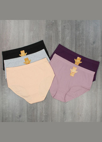 Труси великих розмірів із широкими боками набір 4 шт Lavolle Сліп (315723356)