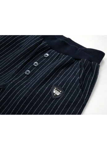 Темно-синие демисезонные брюки Breeze