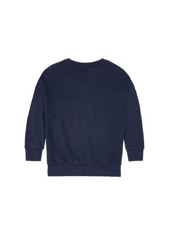 Pepperts світшот двунитка для хлопчика lidl 402769 синій синій