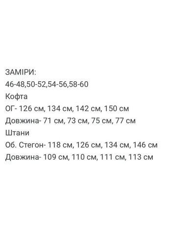 Чоловічий флісовий спортивний костюм FINO Mode (362459074)