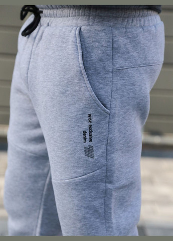 Серые спортивные зимние джоггеры брюки Wise