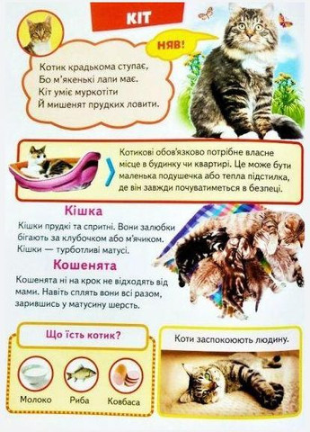 Велика книга знань для малюків подарункова збірка - абетка, лічба, тварини, динозаври, атлас світу, Пегас (316084231)