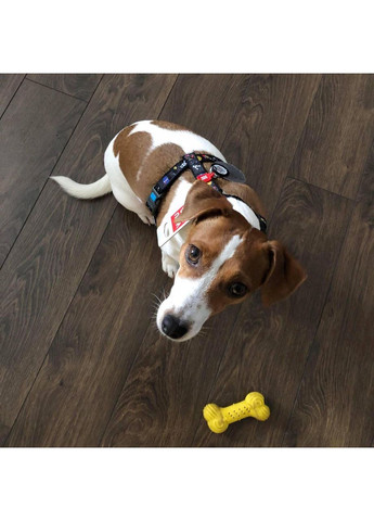 Шлейка для собак анатомическая H-образная Waudog Nylon с QR-паспортом, рисунок Nasa Collar (362571920)