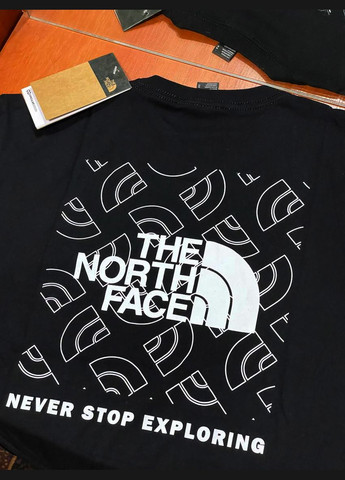 Чорна футболка чоловіча The North Face NSE Box Back Print Half Dome Outline T-shirt Black
