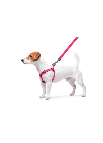 Шлея для собак водостійка Waterproof Металева пряжка-фастекс, Ш 15 мм, Д 40-55 см Рожевий WAUDOG (321996834)